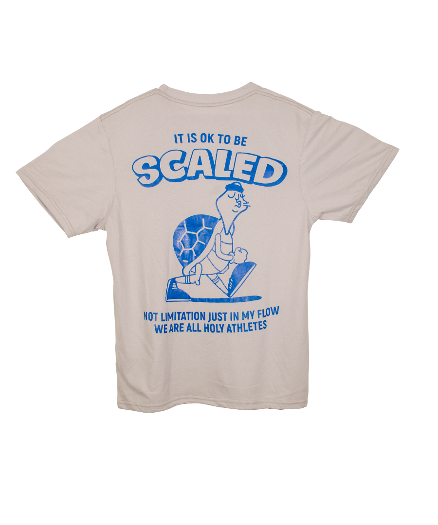 T-Shirt It is ok to be SCALED